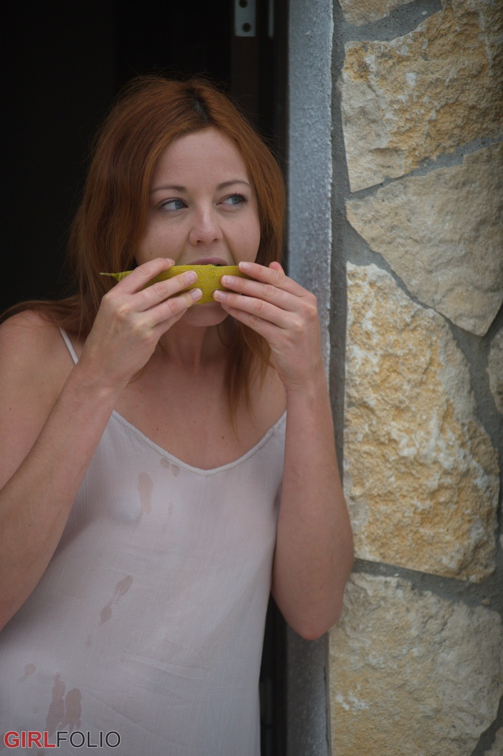 Elen's Melons