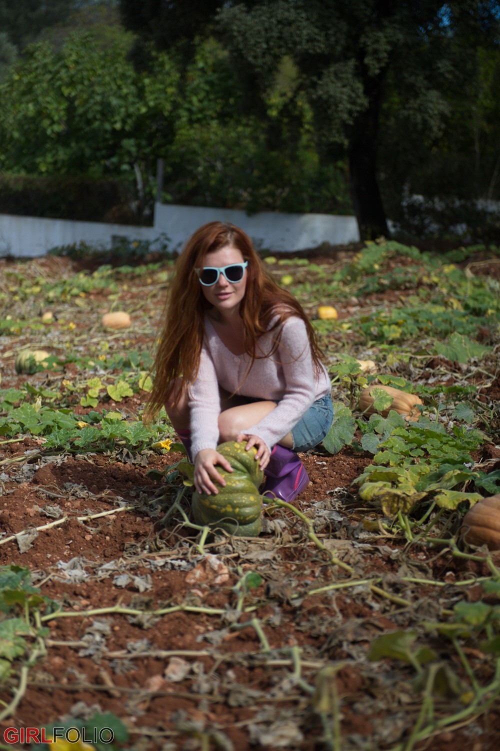 Pumpkin Patch