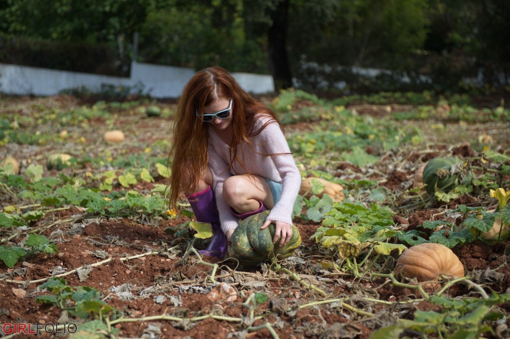 Pumpkin Patch